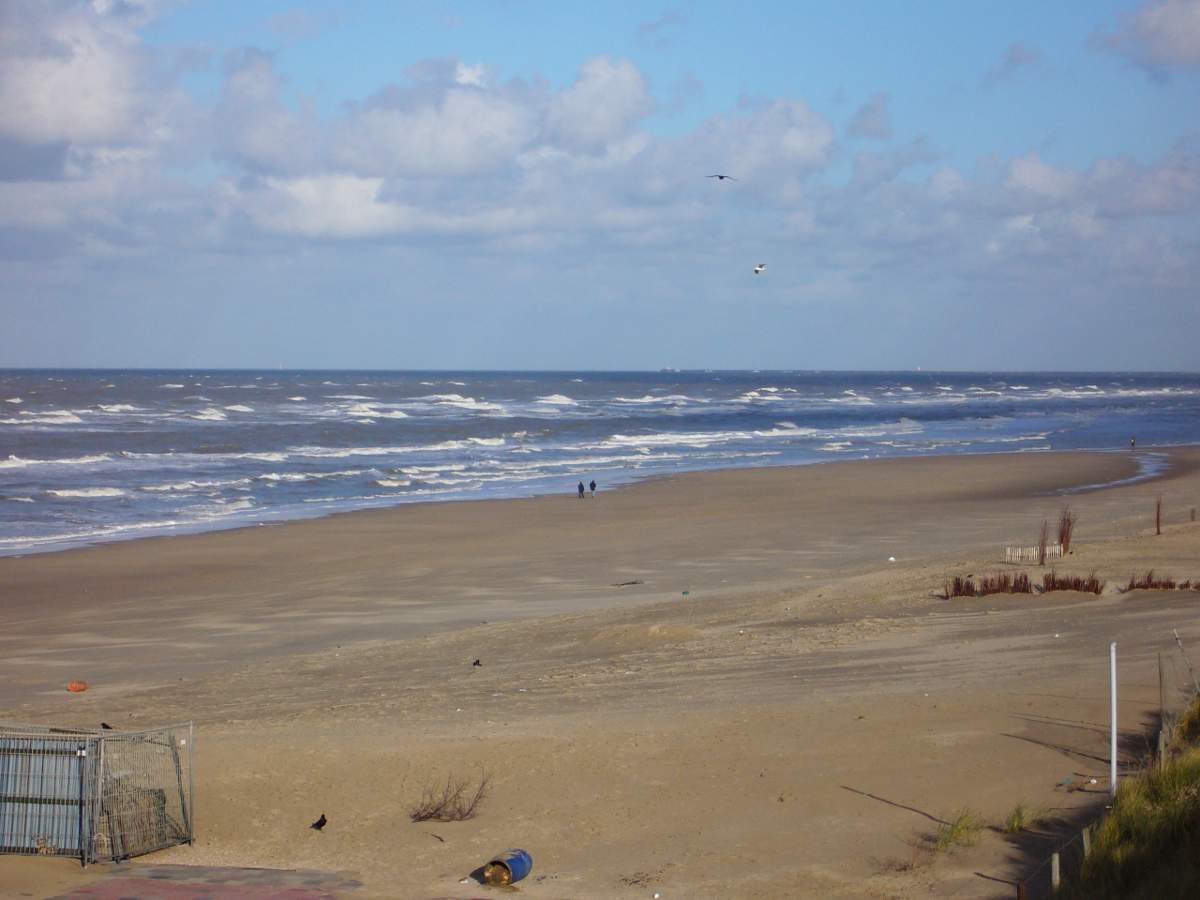 Strand von Zandvoort